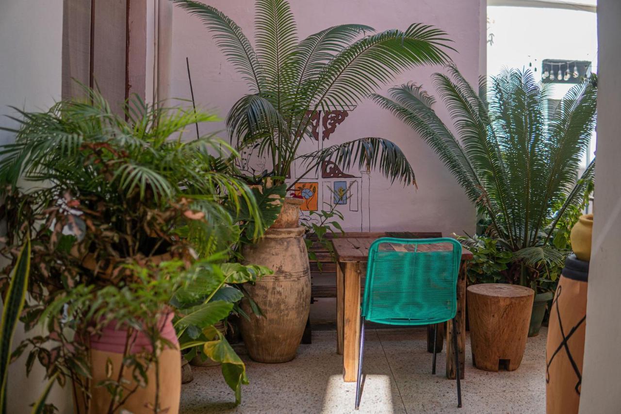 Tarawanda House -Thrivestawi Bed and Breakfast Zanzibar Εξωτερικό φωτογραφία